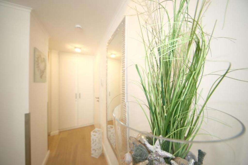 Ferienwohnung Strandallee 200 티멘도르프스트랜드 외부 사진
